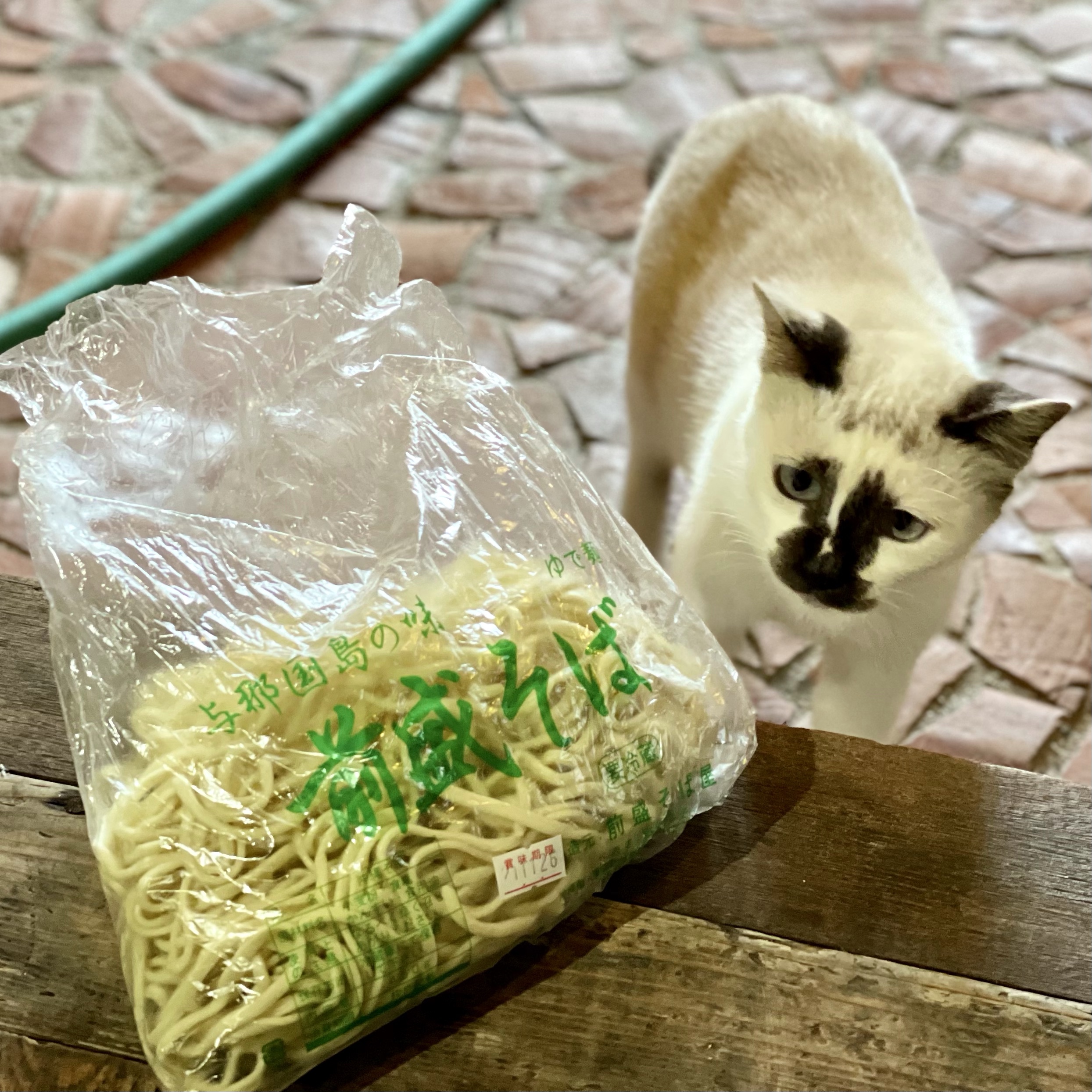 猫はそばが好き | さくら与那国